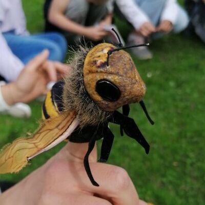 Insekten: Heldinnen der Natur